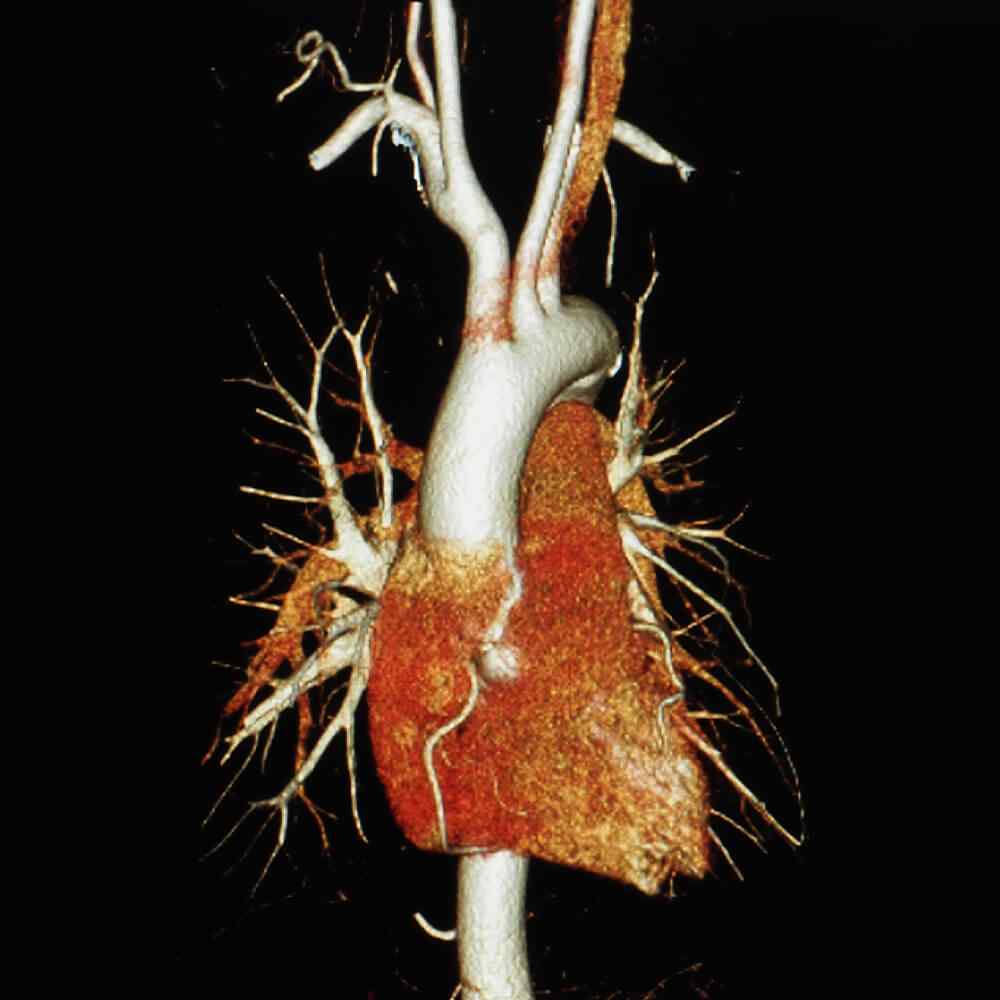 inner_image_02 https://www.asrasmedical.com/wp-content/uploads/2021/08/inner_image_02.jpg