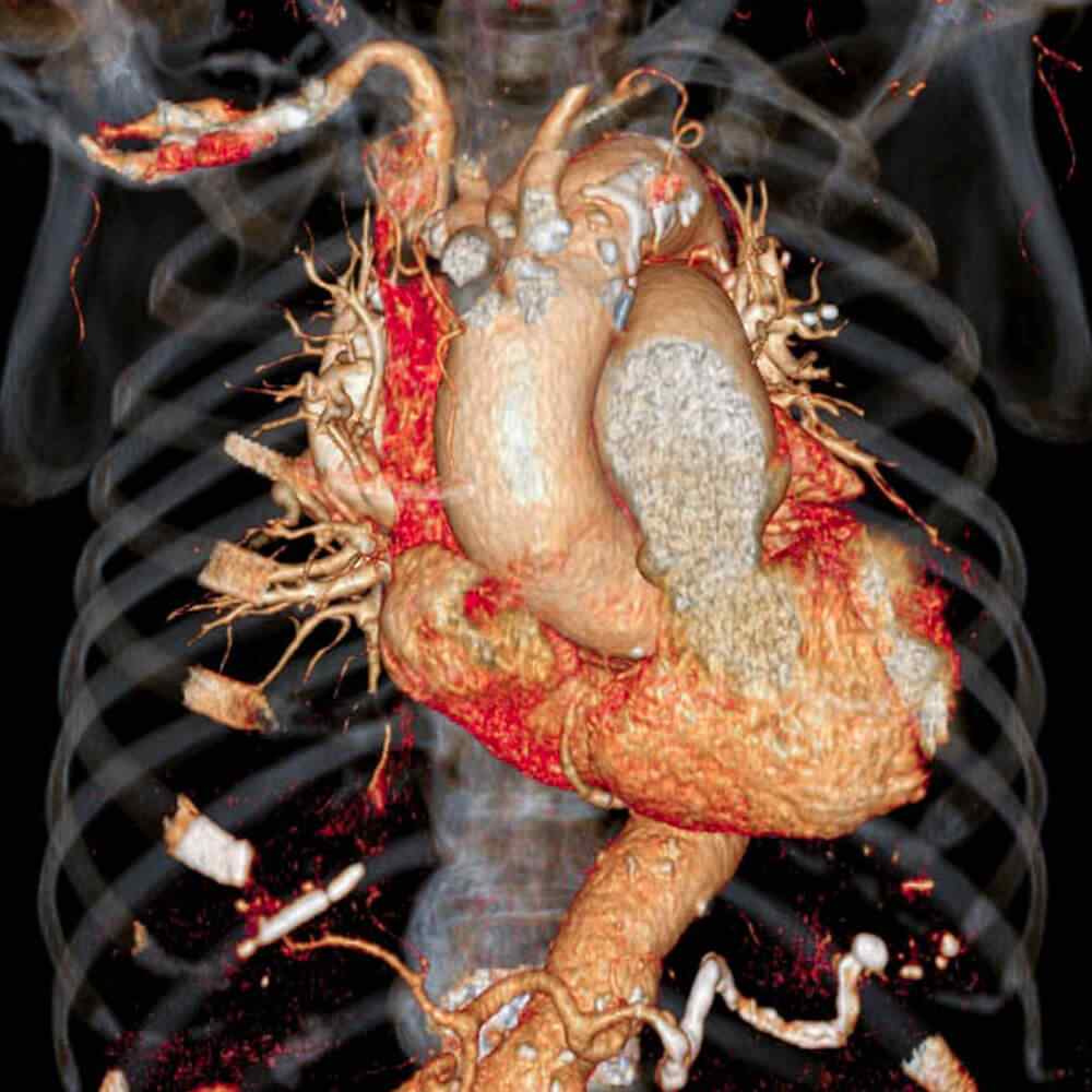 inner_image_03 https://www.asrasmedical.com/wp-content/uploads/2021/08/inner_image_03.jpg